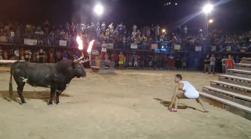 Never Challenge A Bull With It’s Horns On Fire