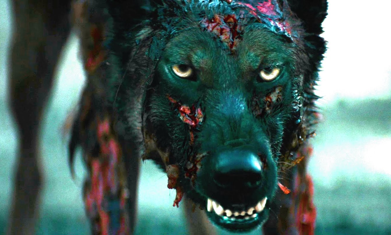 Cabin Fever (Movie Trailer) 2016